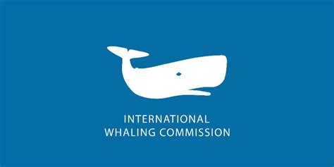 iwc whaling resolutions|Summary report, 23–27 September 2024 .